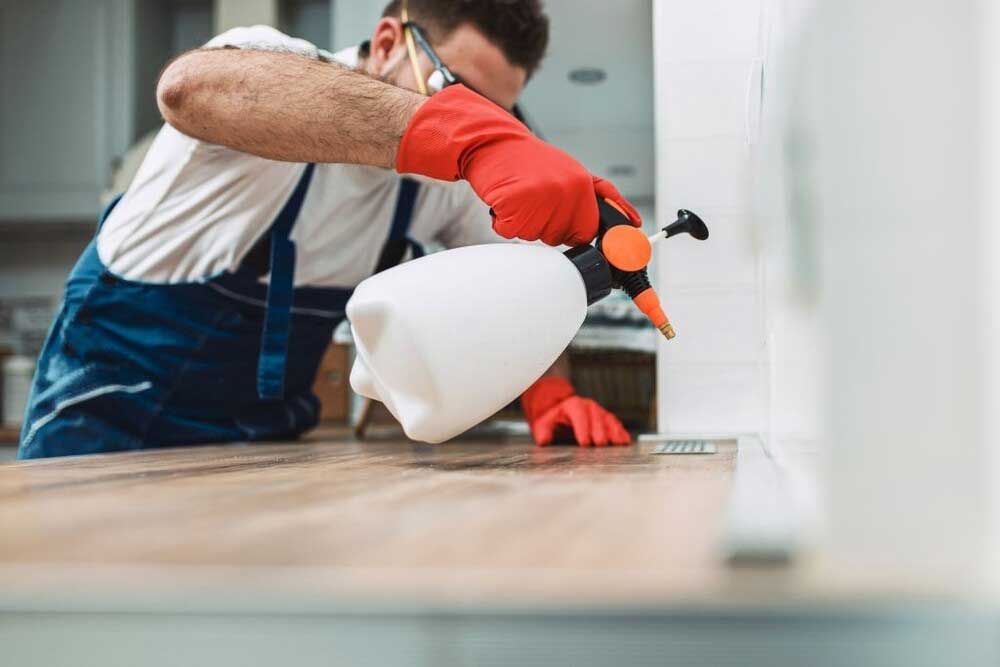 Pest Control
